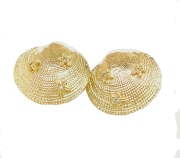 14k gold Scallop Shell Earrings